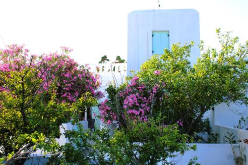 Astypalaia House | Astyvillas