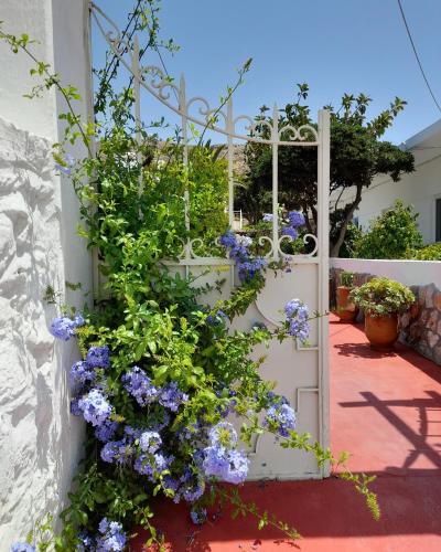 Astypalaia Apartment | Lilo's Apartments
