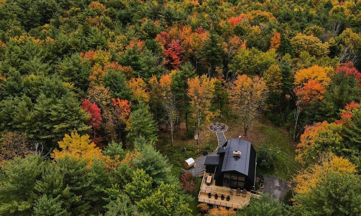 Hammondsport House | Luxury Forest Retreat: Outdoor Sauna & Plunge Tubs