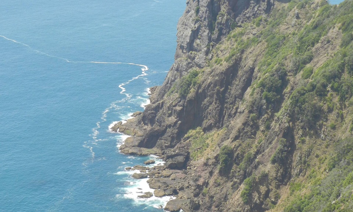 Whangarei Heads House | Modern Beach Side Bach