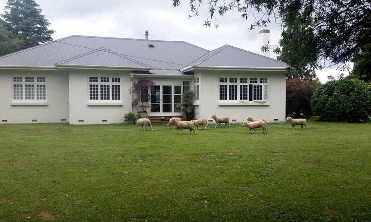 Cambridge Cabin | Rustic Farm Accommodation Surrounded by Gorgeous Countryside Views near Lake Karapiro, North Island