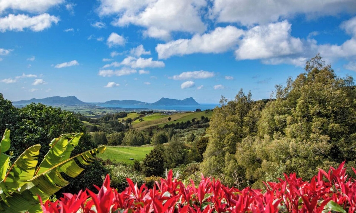 Ruakaka House | TOTARA RIDGE - A Private Escape with Ocean views Autumn/Winter Specials Book Now
