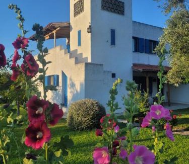 Xirolivado House | Beachfront cottage house in olive grove