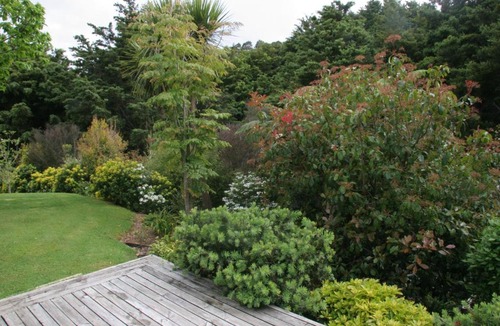 Kaeo House | Chestnut Cottage