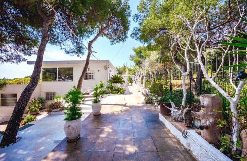 Rafina House | Cute tiny house