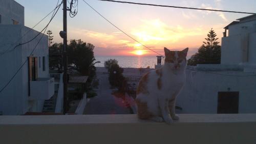 Mastichari Apartment | Holiday Dream Thalia Apartment