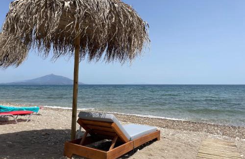 Ireon Hotel | HOTEL IREON beach