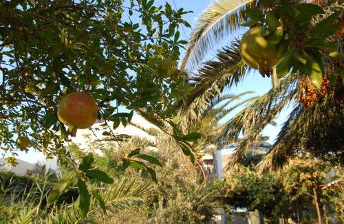 Astypalaia Apartment | Lilo's Apartments