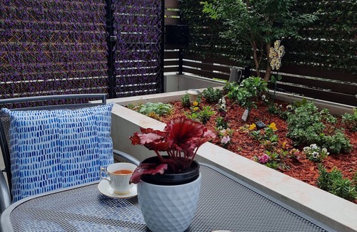 Macquarie Park Apartment | Macquarie Park Paradise (Garden View)