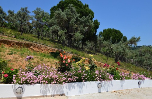 Skiathos Apartment | New studio