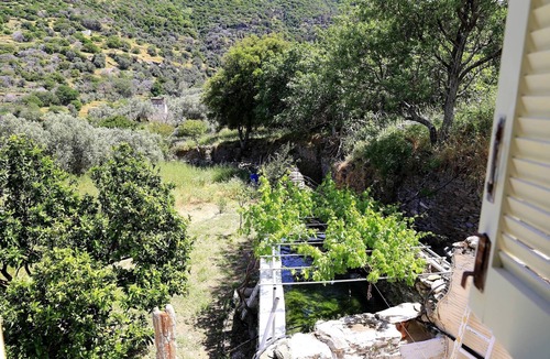 Andros Town Apartment | Oak Farm Guesthouse Junior