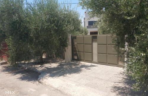 Midea House | Panaritis