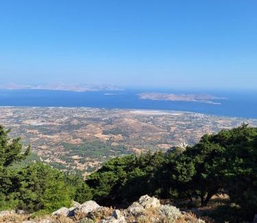 Kos Town Hotel | Paritsa Hotel