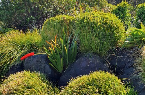 Ahipara Cottage | Peacefully private. A welcome retreat away from the bustle of the beach.