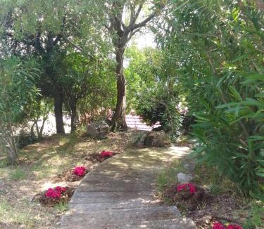 Milies House | Perky Roses Home, Mountain Meets Sea in Milies, Pelion