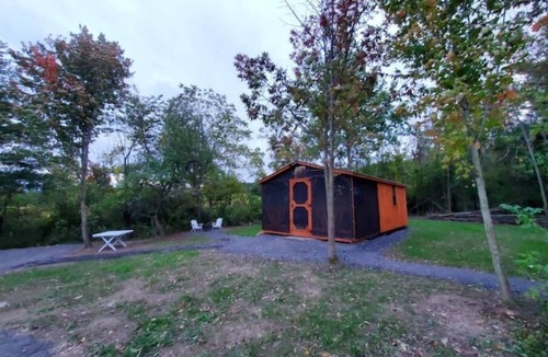 Rock Stream Cabin | Pine Cone Off grid cabin near Watkins Glen, NY!