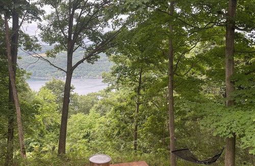 Hammondsport Cabin | THE GRAPE ESCAPE - PET FRIENDLY! - OFF GRID - ROMANTIC LAKE VIEW - ON WINE TRAIL