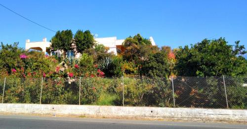 Agia Villa | Villa Rosemagnolia, pool 35m2, in green, gardens, full sun close to everything