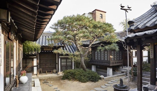 Experience the elegance of Korean culture