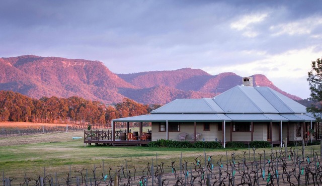 Hanging Tree Homestead - vineyard views, nature & farm animals. Pet-Friendly!