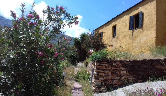 Ikarian Centre - Accommodation & mountain hiking in Evdilos
