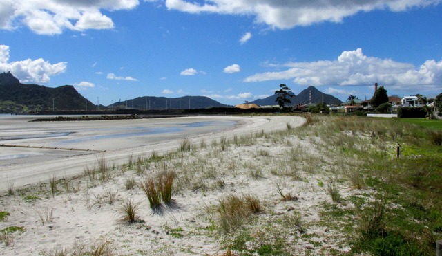 Manaia View Bach - One Tree Point Bach