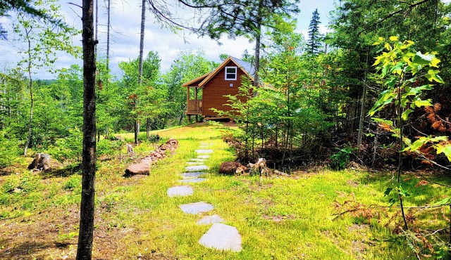 Miracles on Polly- Memory Lane Cabin
