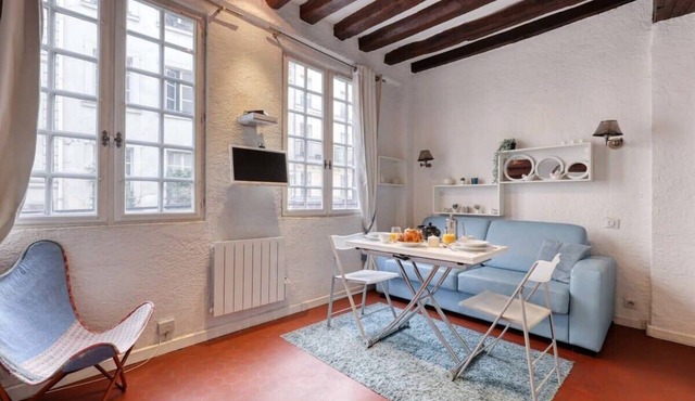 New & Authentic Studio - The Historical Le Marais in Paris