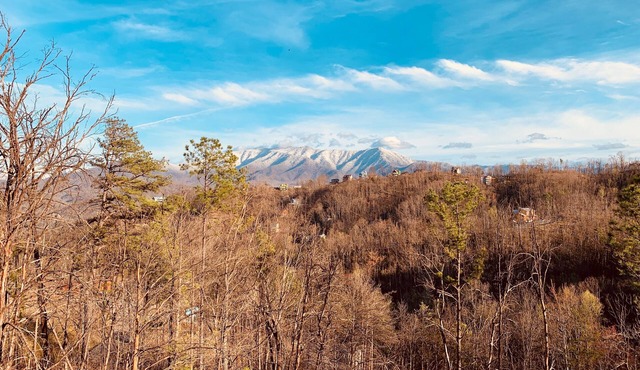 Newer Built Cabin! View of Mount LeConte! Hot tub! Game Room!