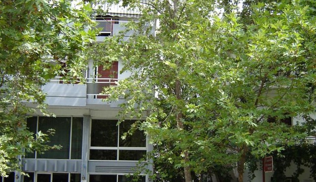 Rex Chasioti