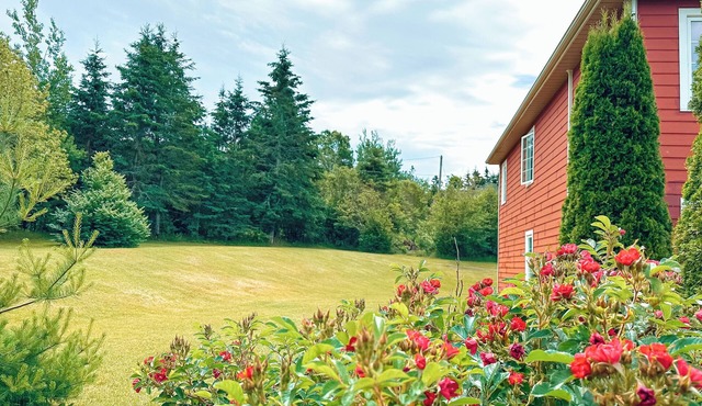 Spacious 1BR Suite, Near Charlottetown, PEI
