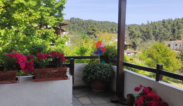 Super cozy and comfort villa in the woods just 1 klm from Elani beach
