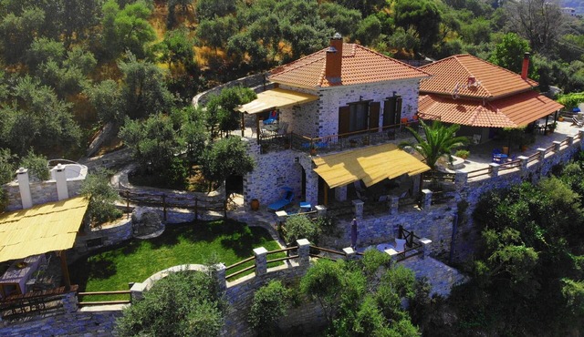 Villa surrounded by greenery