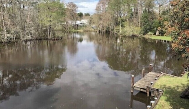 Waterfront Bungalow on Bayou Bonfouca- Next to Palmettos