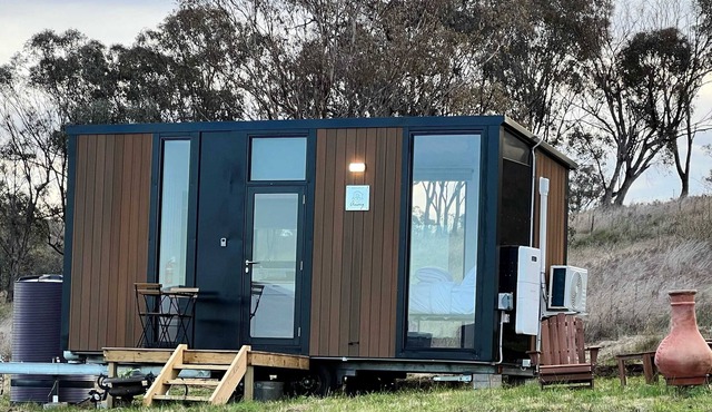 Willow Three Tiny House in Willow Tree