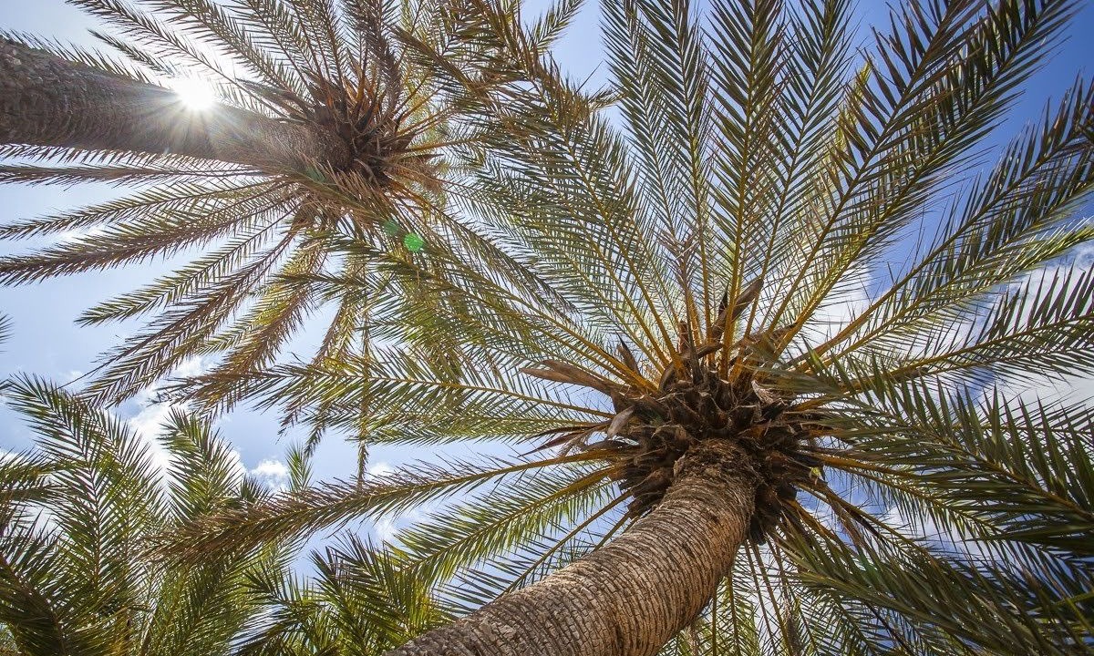 Photo of Outdoor in Milatos