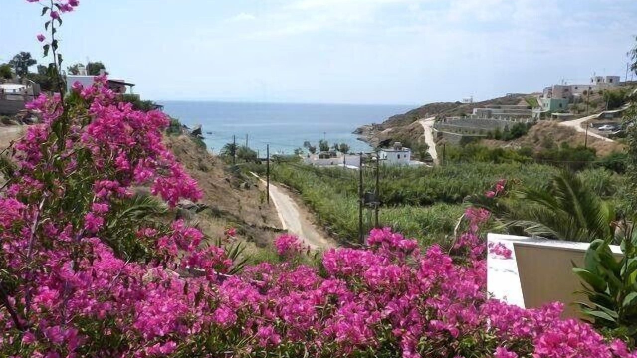 Photo of Outdoor in Abela