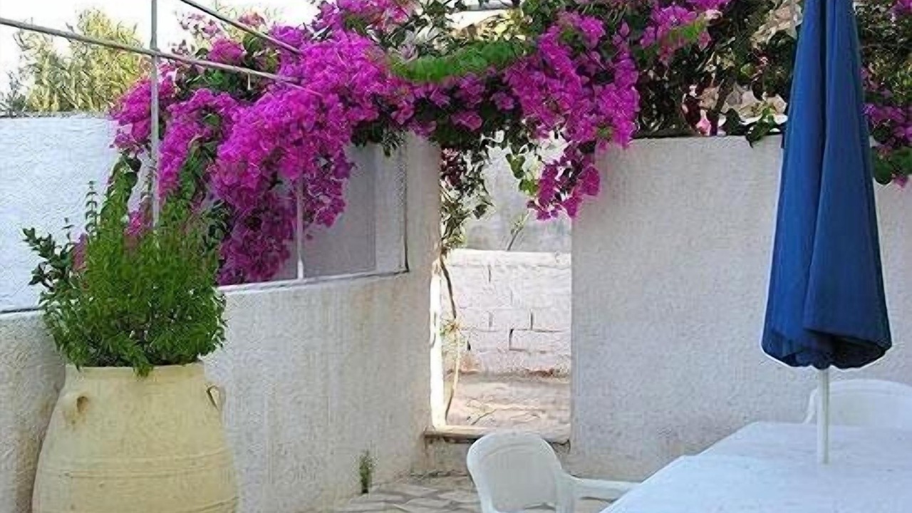 Photo of Outdoor in Abela