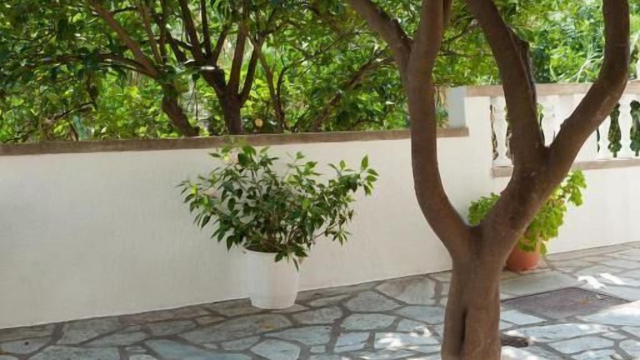 Photo of Outdoor in Skopelos