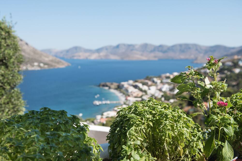 Photo of Outdoor in Kamari