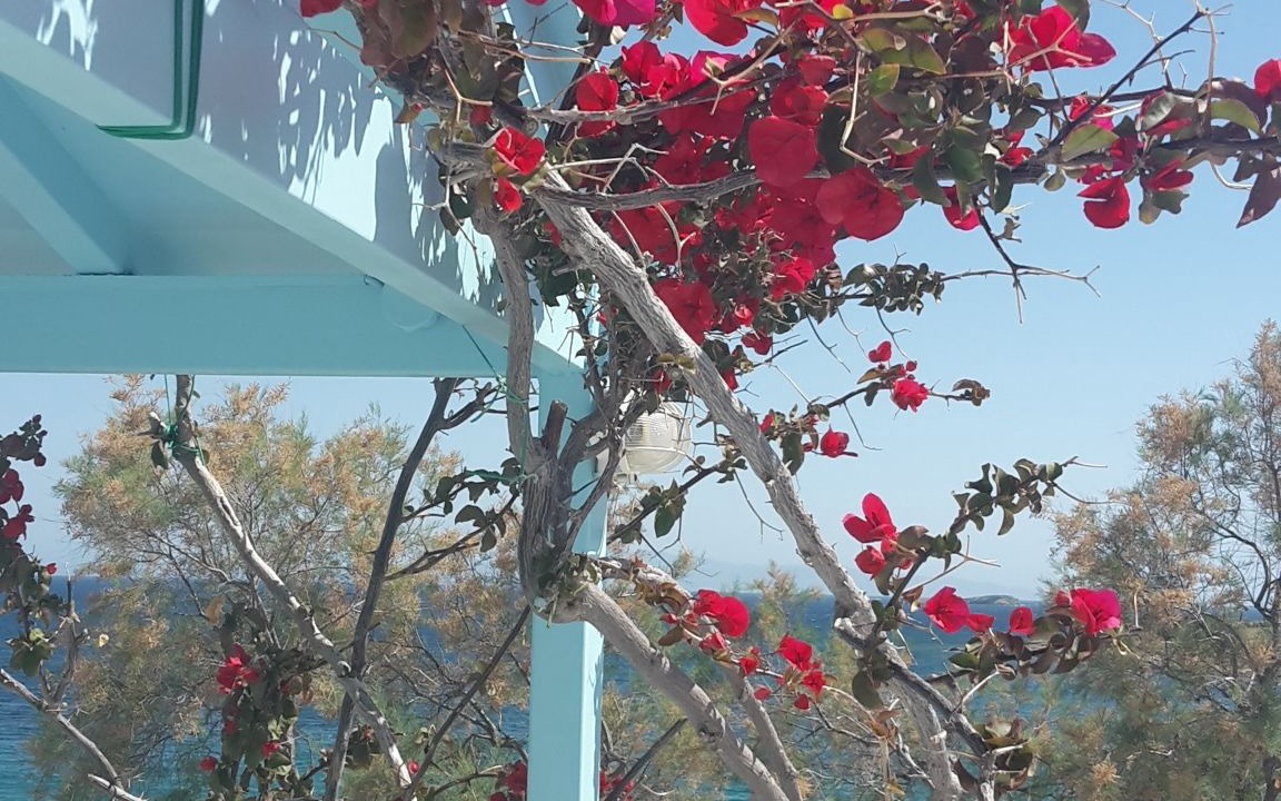 Photo of Outdoor in Piso Livadi