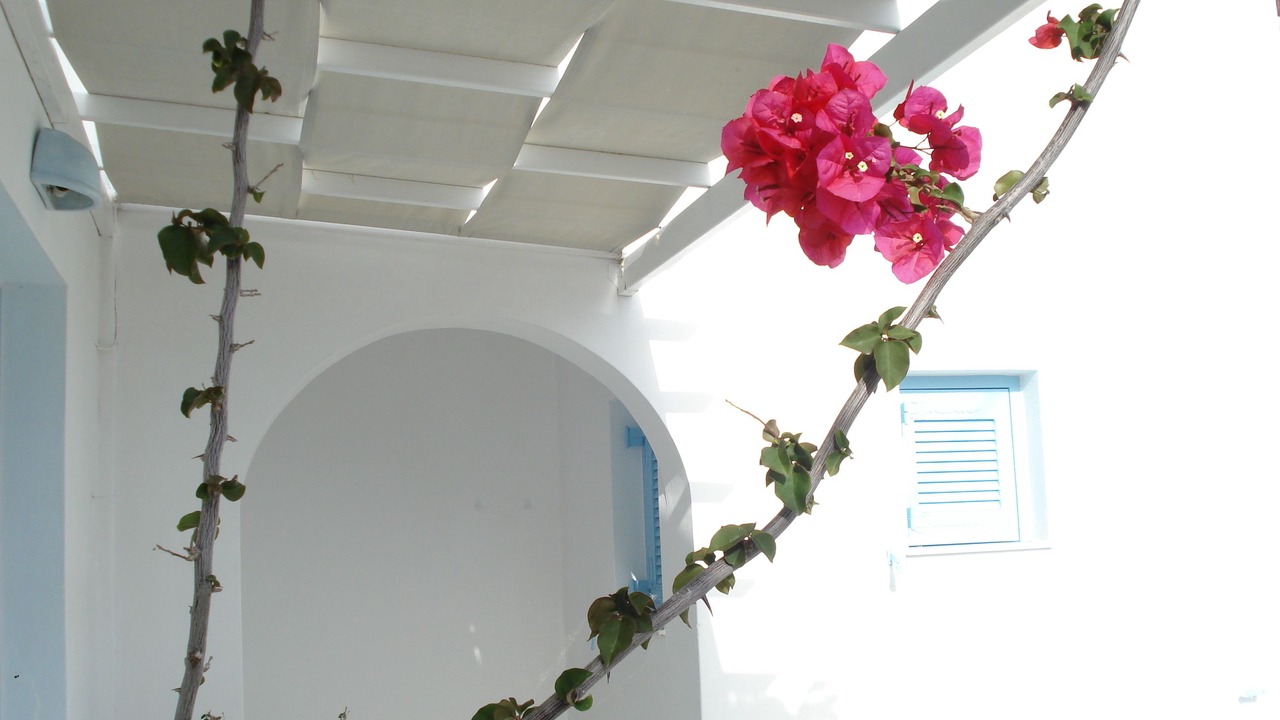 Photo of Outdoor in Piso Livadi