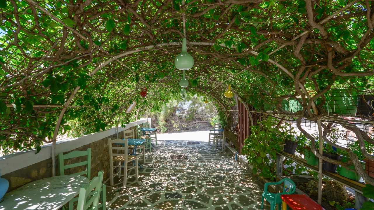 Photo of Outdoor in Agios Prokopios