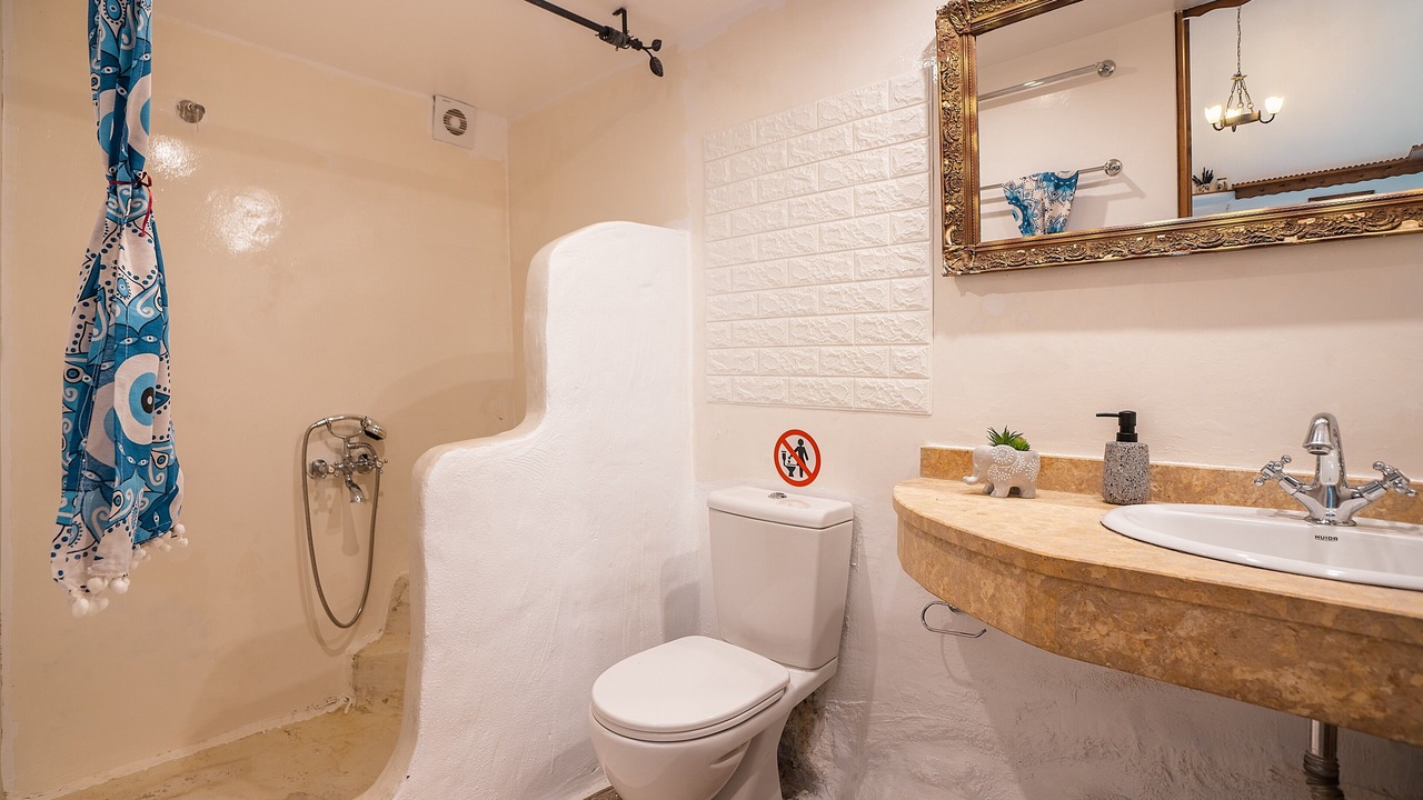 Photo of Bathroom in Psinthos