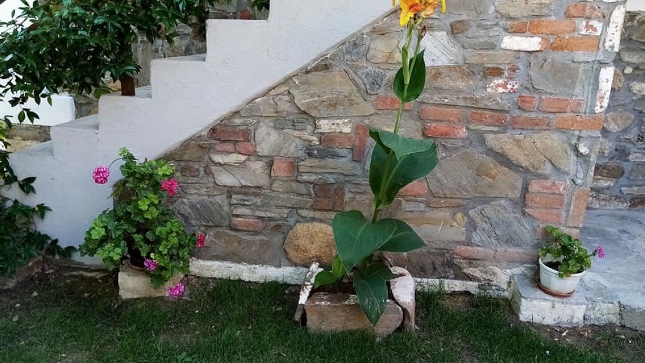 Photo of Others in Agios Nikolaos