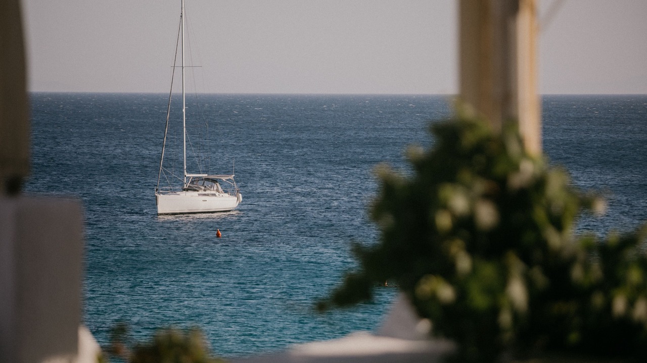 Photo of Others in Stelida