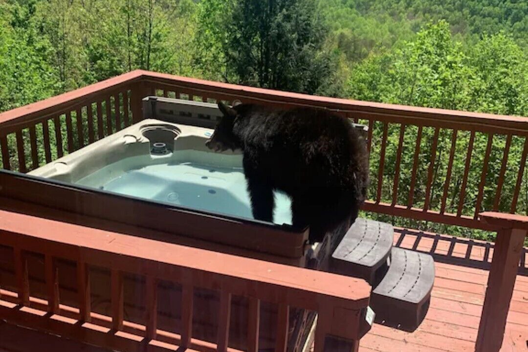 Photo of Others in Gatlinburg