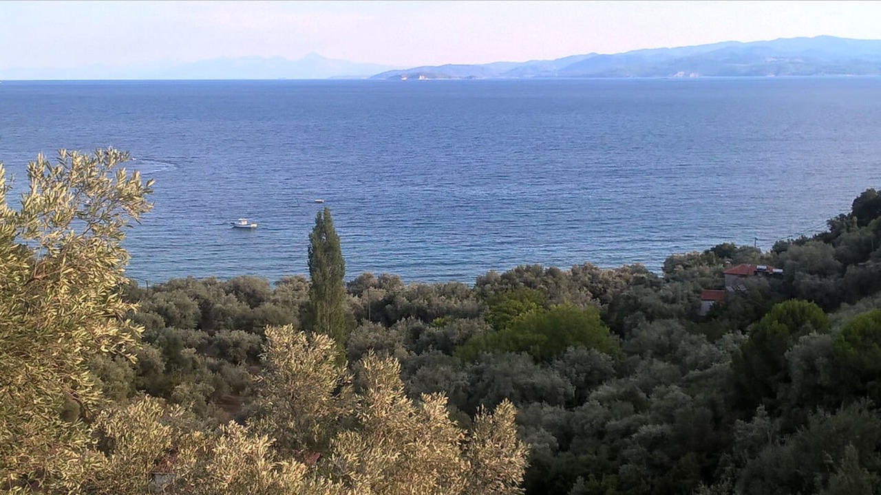 Photo of Others in Platania