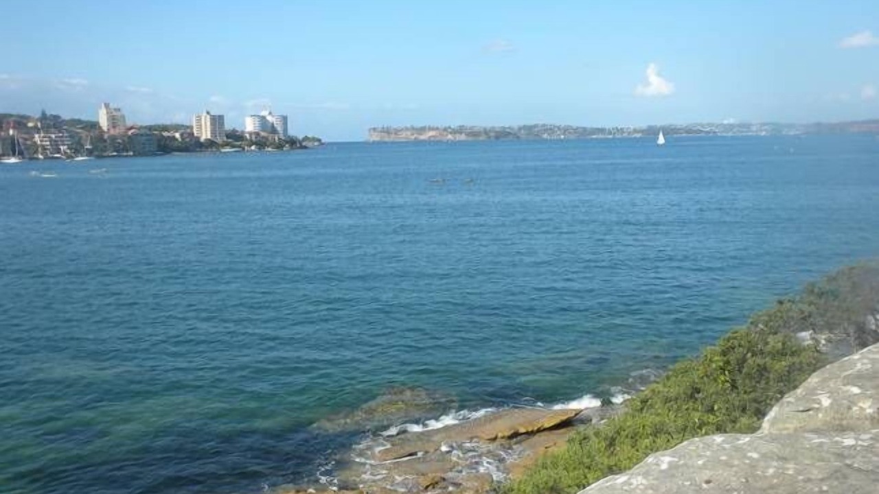 Photo of Others in Fairlight