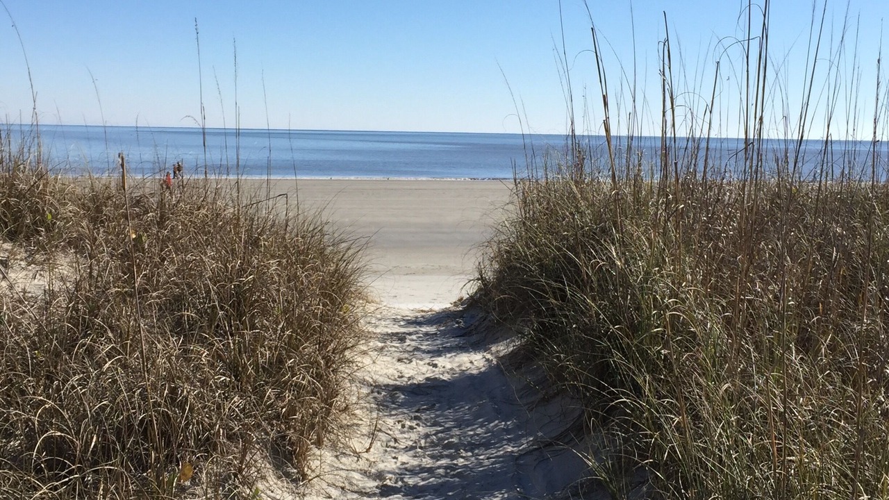 Photo of Others in North Forest Beach